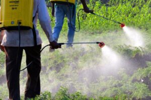 Insecticides Registration India