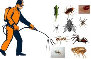 Pest Control Registration India